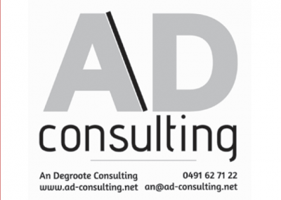 1adconsulting